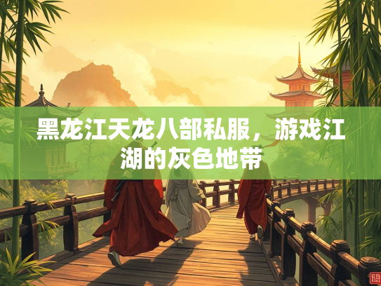 黑龙江天龙八部私服，游戏江湖的灰色地带  第2张