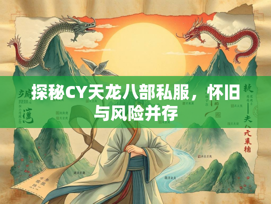 探秘CY天龙八部私服，怀旧与风险并存  第2张