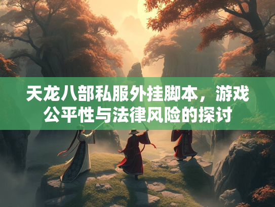 天龙八部私服外挂脚本，游戏公平性与法律风险的探讨  第3张