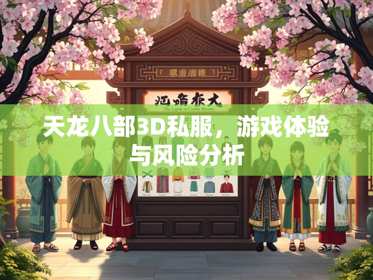 天龙八部3D私服，游戏体验与风险分析