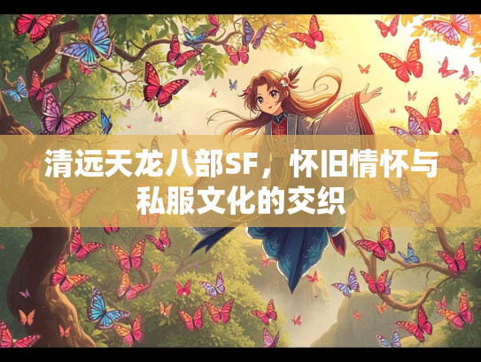 清远天龙八部SF，怀旧情怀与私服文化的交织  第3张