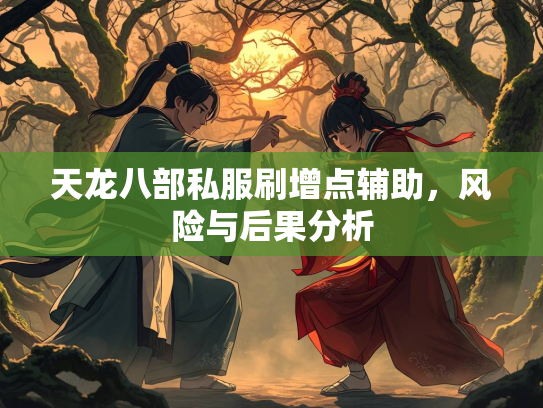 天龙八部私服刷增点辅助，风险与后果分析