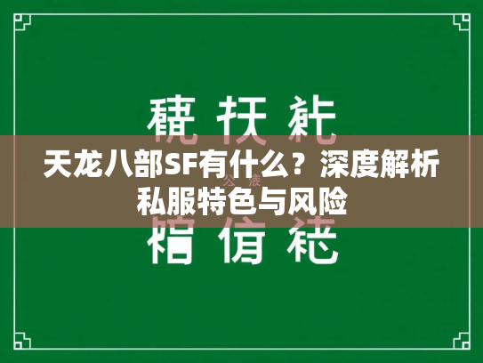 天龙八部SF有什么？深度解析私服特色与风险  第2张