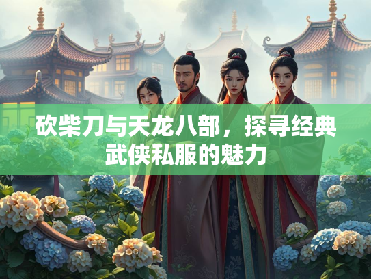 砍柴刀与天龙八部，探寻经典武侠私服的魅力  第1张