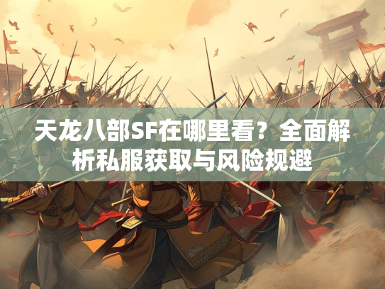天龙八部SF在哪里看？全面解析私服获取与风险规避