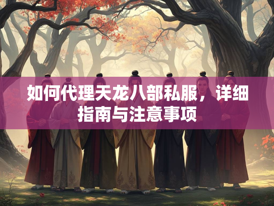如何代理天龙八部私服，详细指南与注意事项  第3张