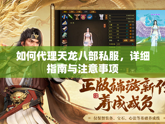 如何代理天龙八部私服，详细指南与注意事项