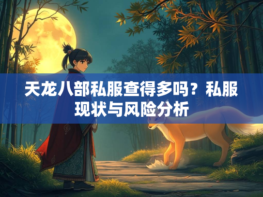 天龙八部私服查得多吗？私服现状与风险分析