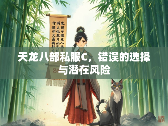 天龙八部私服C，错误的选择与潜在风险