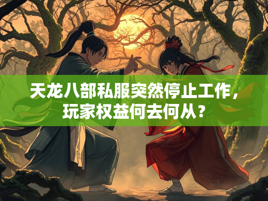 天龙八部私服突然停止工作，玩家权益何去何从？