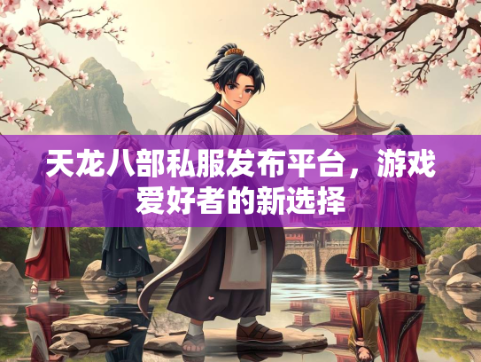 天龙八部私服发布平台，游戏爱好者的新选择  第3张