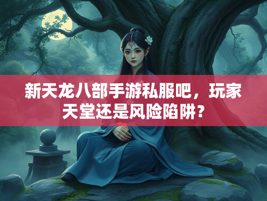 新天龙八部手游私服吧，玩家天堂还是风险陷阱？  第2张
