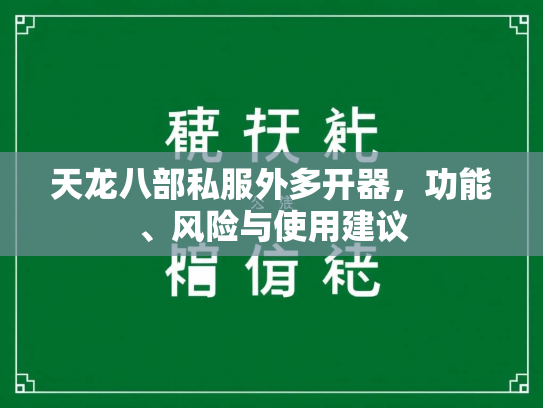 天龙八部私服外多开器，功能、风险与使用建议  第3张
