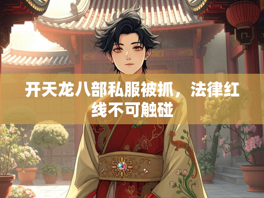开天龙八部私服被抓，法律红线不可触碰