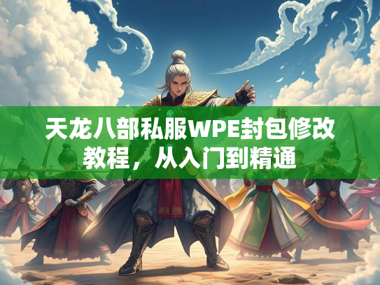 天龙八部私服WPE封包修改教程，从入门到精通  第3张