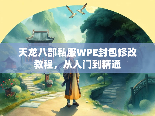 天龙八部私服WPE封包修改教程，从入门到精通  第5张