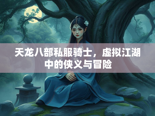 天龙八部私服骑士，虚拟江湖中的侠义与冒险  第2张
