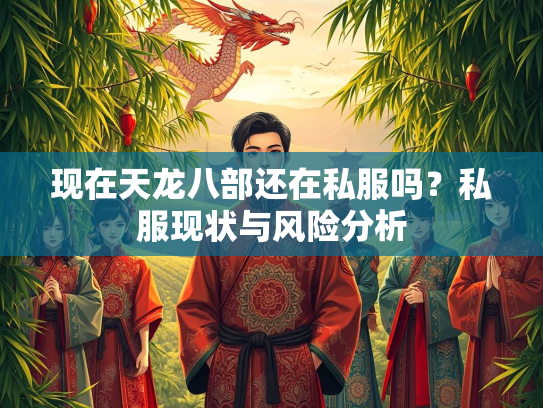 现在天龙八部还在私服吗？私服现状与风险分析  第2张