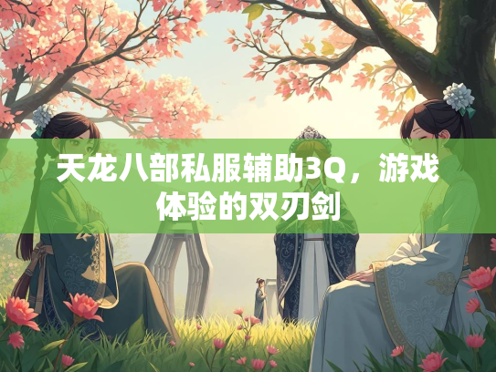 天龙八部私服辅助3Q，游戏体验的双刃剑  第2张