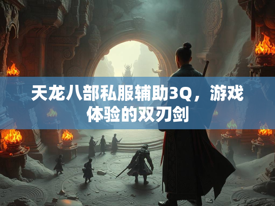 天龙八部私服辅助3Q，游戏体验的双刃剑  第3张