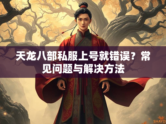 天龙八部私服上号就错误？常见问题与解决方法  第3张