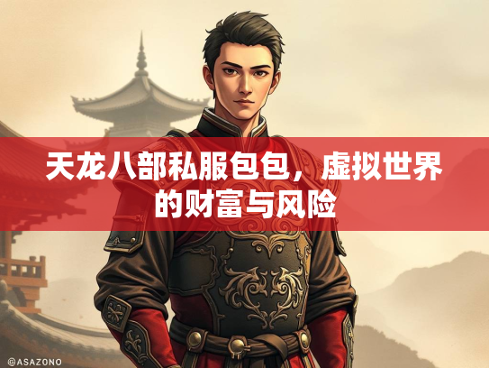 天龙八部私服包包，虚拟世界的财富与风险