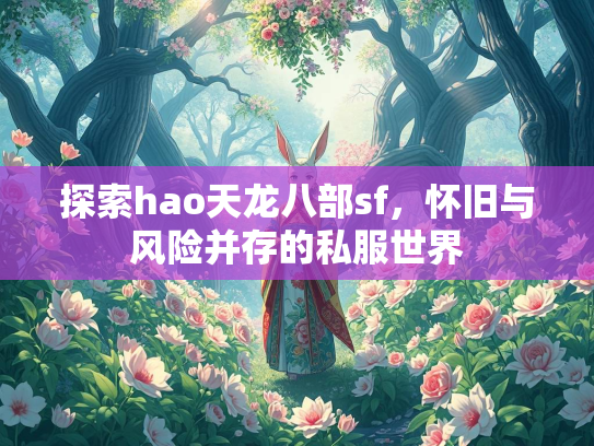 探索hao天龙八部sf，怀旧与风险并存的私服世界  第2张