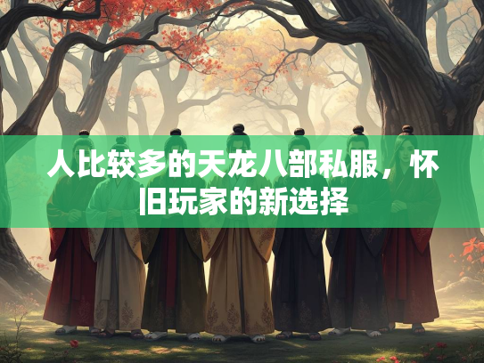 人比较多的天龙八部私服，怀旧玩家的新选择  第2张