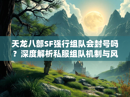 天龙八部SF强行组队会封号吗？深度解析私服组队机制与风险  第2张