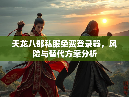 天龙八部私服免费登录器，风险与替代方案分析  第2张
