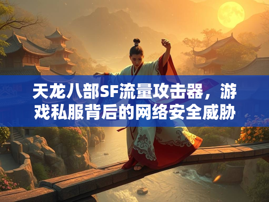 天龙八部SF流量攻击器，游戏私服背后的网络安全威胁  第3张