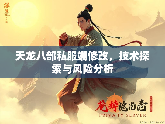 天龙八部私服端修改，技术探索与风险分析