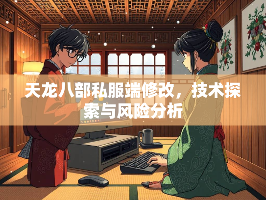 天龙八部私服端修改，技术探索与风险分析