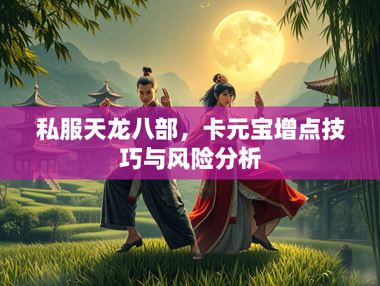 私服天龙八部，卡元宝增点技巧与风险分析