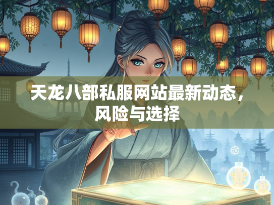 天龙八部私服网站最新动态，风险与选择  第4张