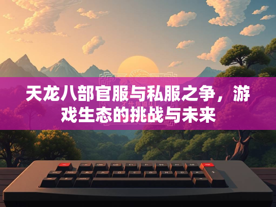 天龙八部官服与私服之争，游戏生态的挑战与未来