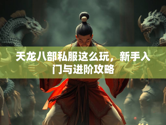 天龙八部私服这么玩，新手入门与进阶攻略  第3张