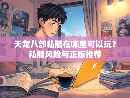 天龙八部私服在哪里可以玩？私服风险与正版推荐  第3张