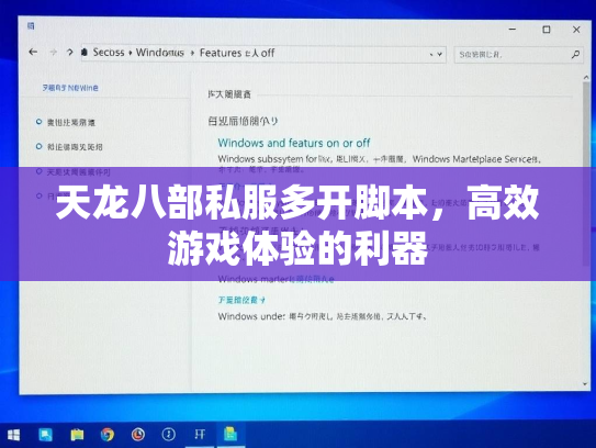 天龙八部私服多开脚本，高效游戏体验的利器  第3张
