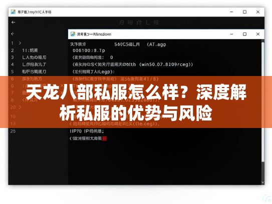 天龙八部私服怎么样？深度解析私服的优势与风险  第2张