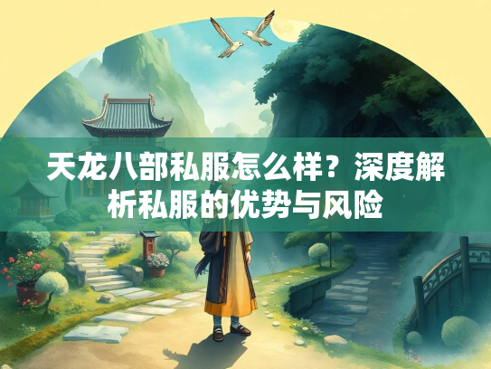 天龙八部私服怎么样？深度解析私服的优势与风险  第1张