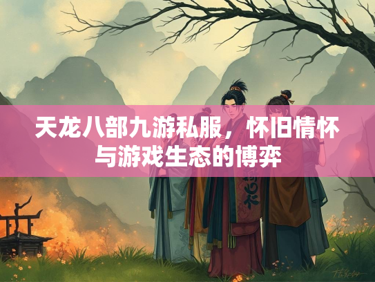 天龙八部九游私服，怀旧情怀与游戏生态的博弈  第5张