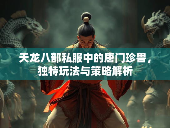 天龙八部私服中的唐门珍兽，独特玩法与策略解析  第4张