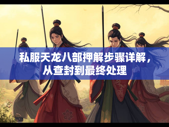 私服天龙八部押解步骤详解，从查封到最终处理