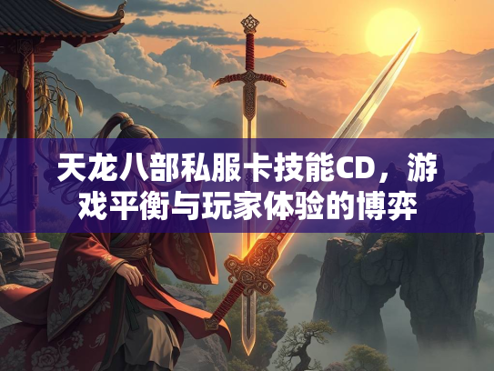 天龙八部私服卡技能CD，游戏平衡与玩家体验的博弈