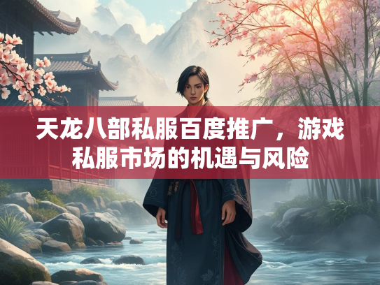 天龙八部私服百度推广，游戏私服市场的机遇与风险