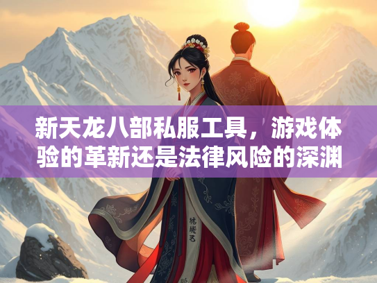 新天龙八部私服工具，游戏体验的革新还是法律风险的深渊？