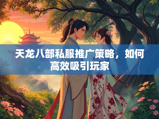 天龙八部私服推广策略，如何高效吸引玩家
