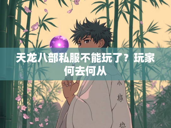 天龙八部私服不能玩了？玩家何去何从  第3张