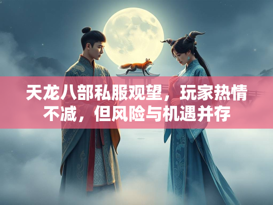 天龙八部私服观望，玩家热情不减，但风险与机遇并存